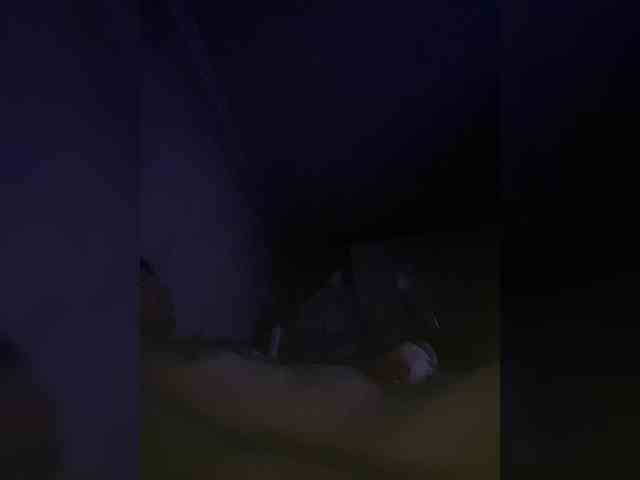 Kot-i-Koshkaa Kot-i-Koshkaa