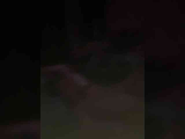 Kot-i-Koshkaa webcam