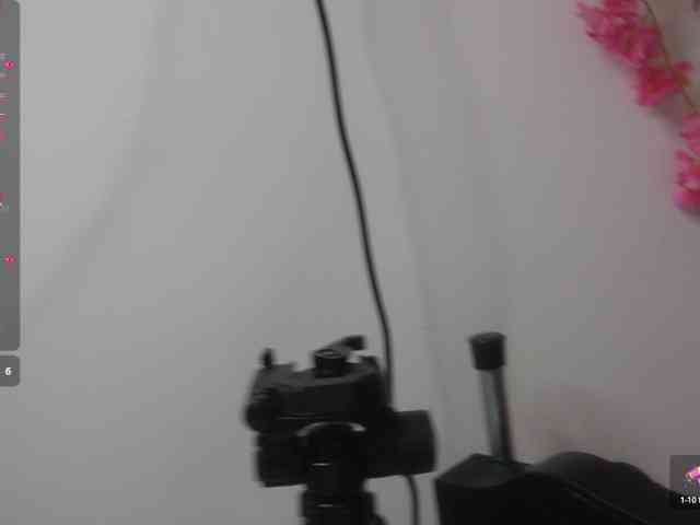 Kitty-Roses webcam