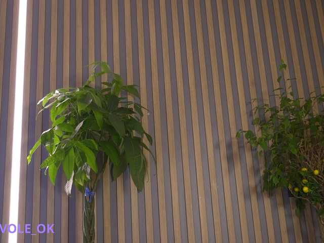 kateline's BongaCams show and profile