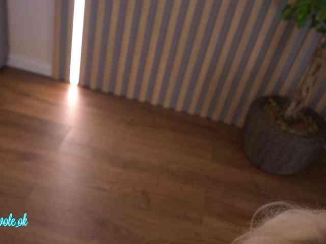 kateline webcam