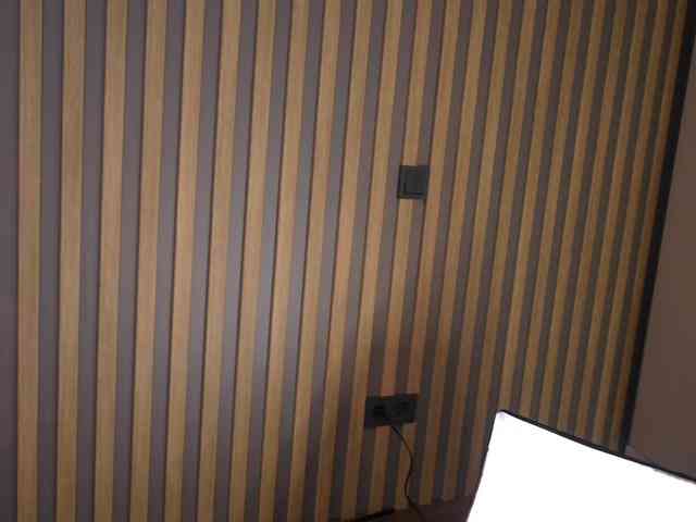 kateline webcam