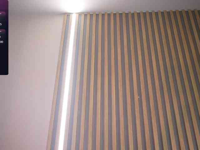 kateline webcam