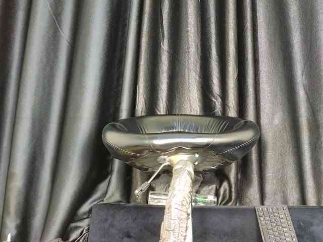Assiology webcam