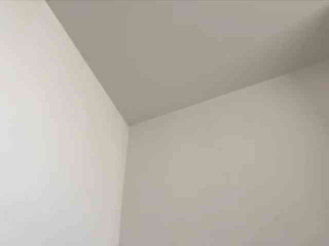 elektradoll29 elektradoll29