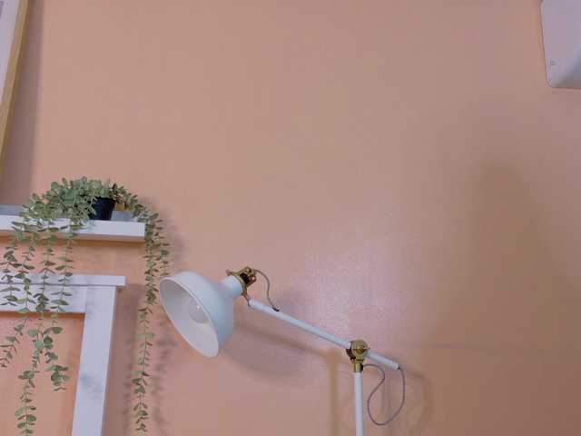 Kendalmiller preview