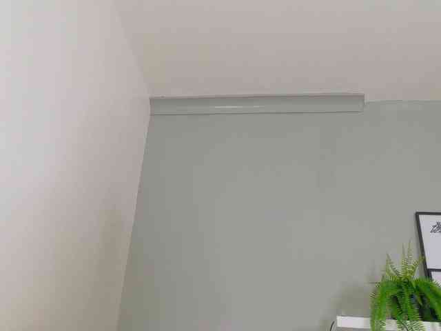 Kendalmiller webcam
