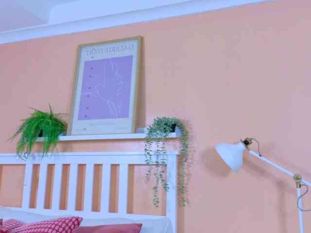 Kendalmiller Kendalmiller