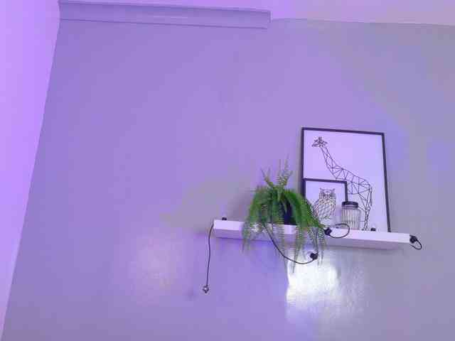 Kendalmiller webcam