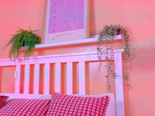 Kendalmiller Kendalmiller