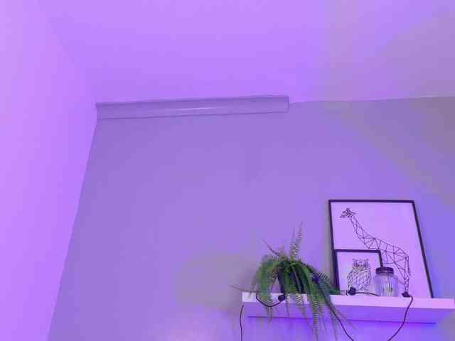 Kendalmiller webcam