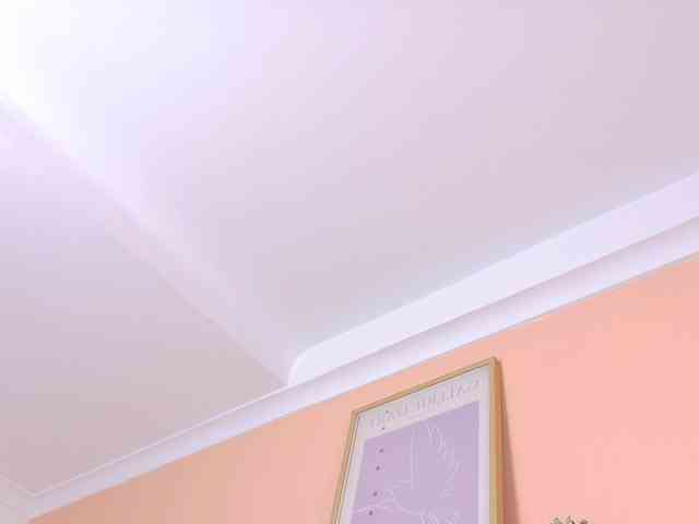 Kendalmiller webcam