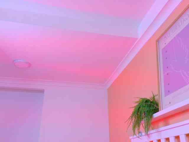 Kendalmiller Kendalmiller