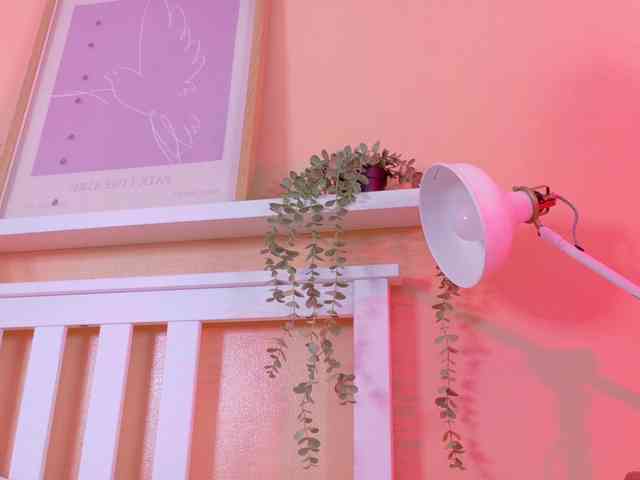 webcam adult Kendalmiller