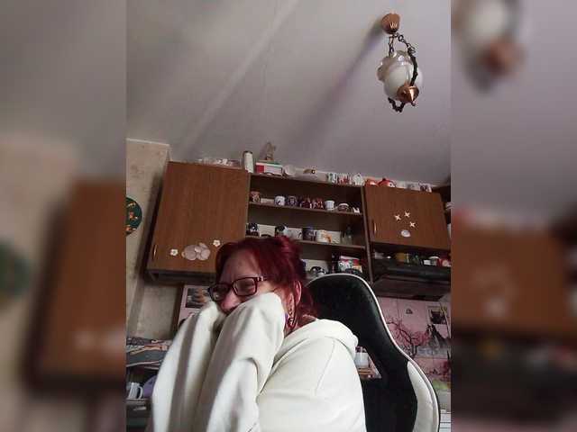 Lintu1 live cam profile