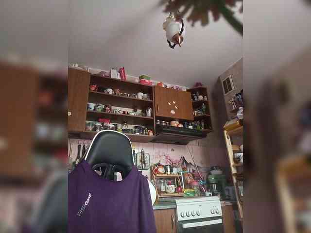 TignariV webcam