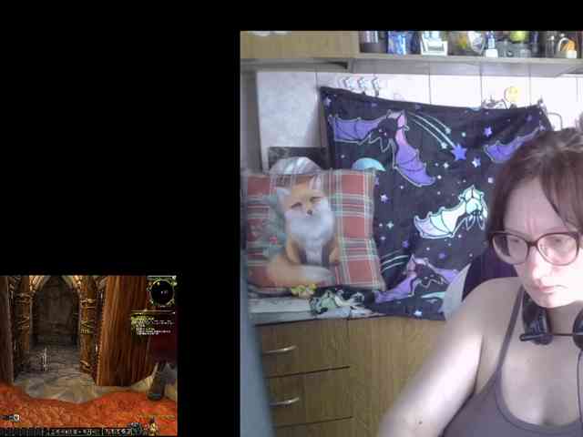 Lintu1 webcam