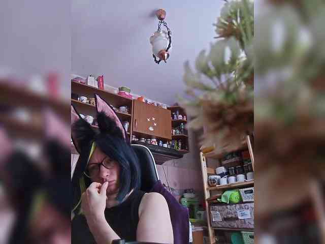 TignariV webcam