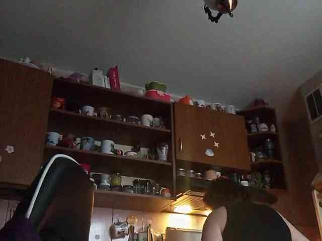 TignariV webcam