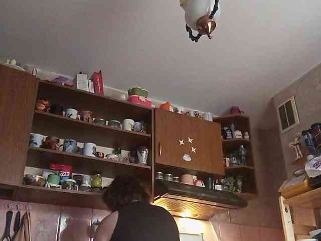 TignariV webcam