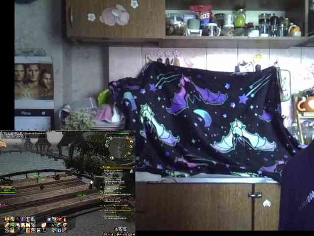 TignariV webcam