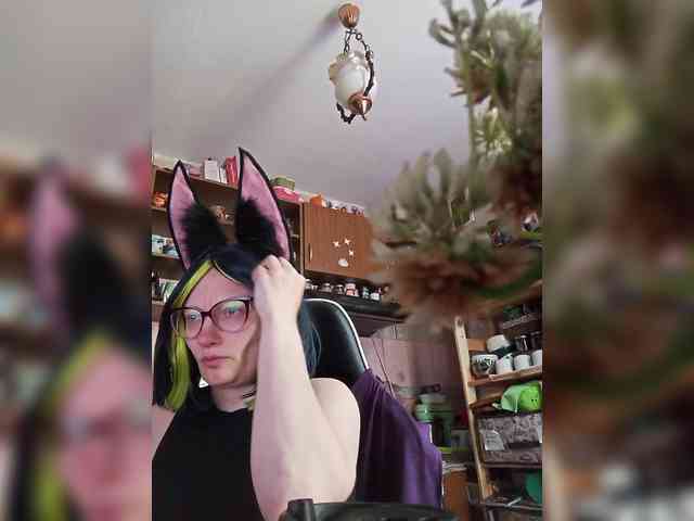 TignariV webcam