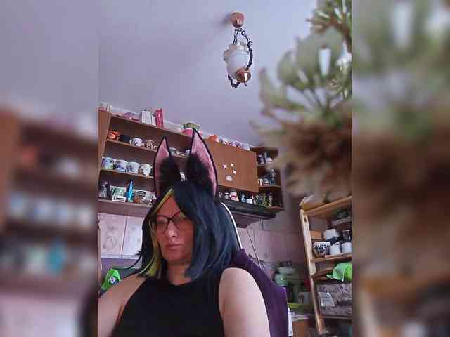 TignariV webcam