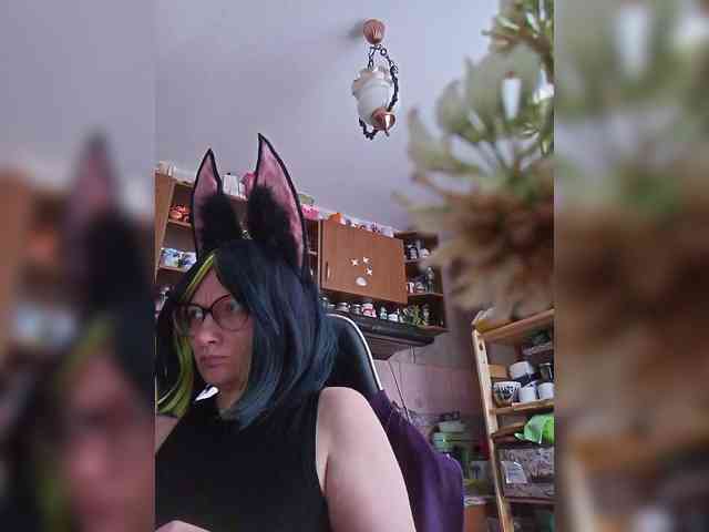 TignariV webcam