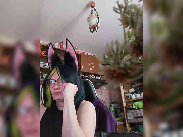 TignariV webcam