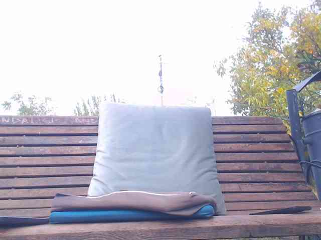 AnnBigLabia webcam