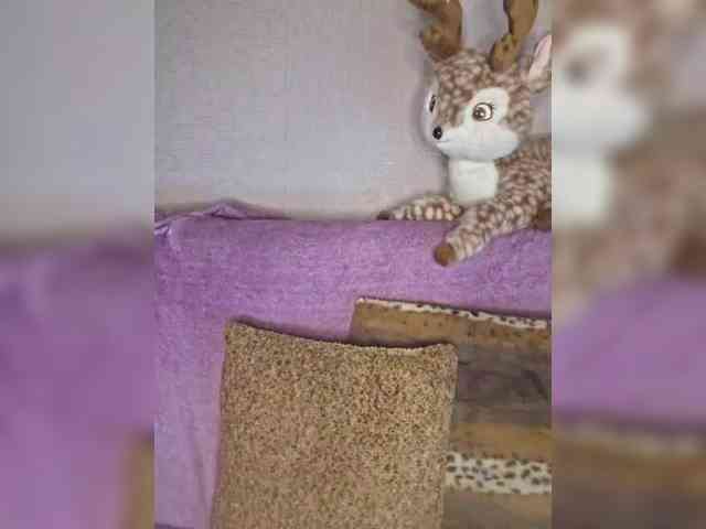 HaisonEris1 webcam