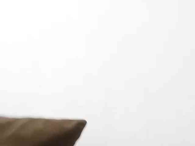 Tirion1991 Tirion1991