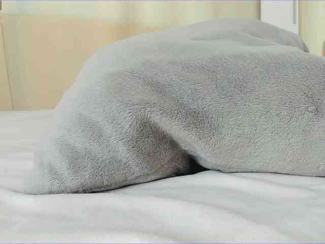 sweetyvikki webcam
