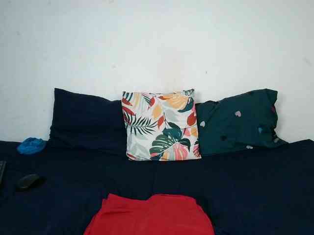 BIGTITTISXX BIGTITTISXX