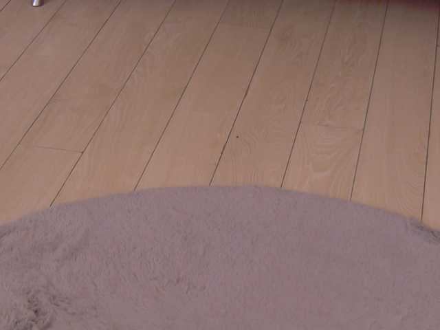 BailleyRush's BongaCams show and profile