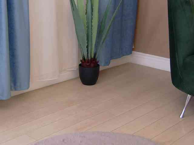 BailleyRush BailleyRush