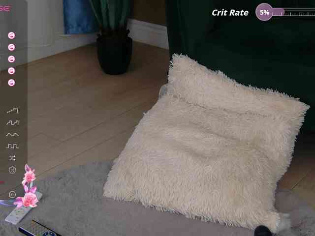 BailleyRush webcam