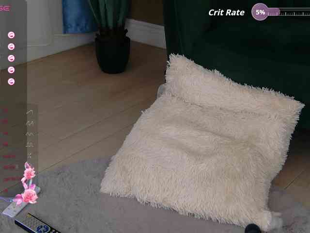 BailleyRush webcam