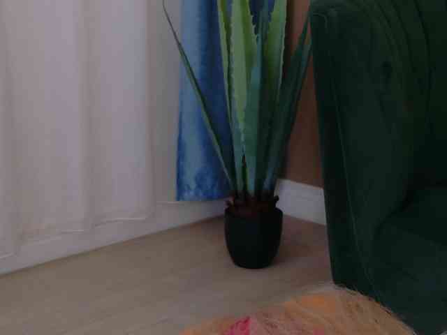 BailleyRush webcam