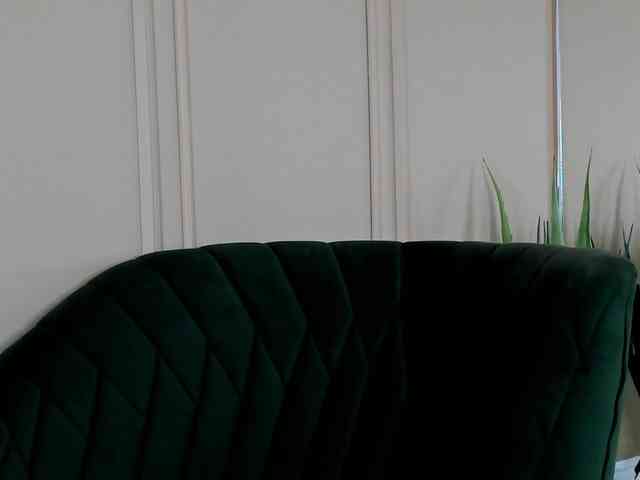 BailleyRush webcam