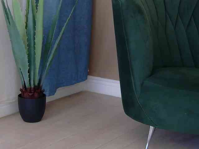 BailleyRush BailleyRush