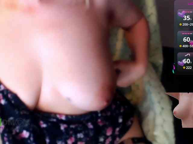 Persiks webcam