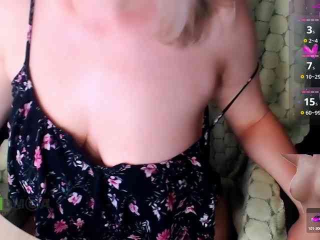 Persiks webcam