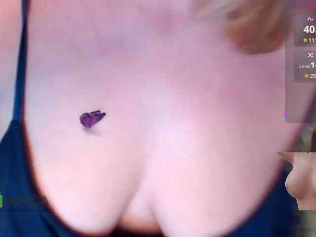 Persiks webcam