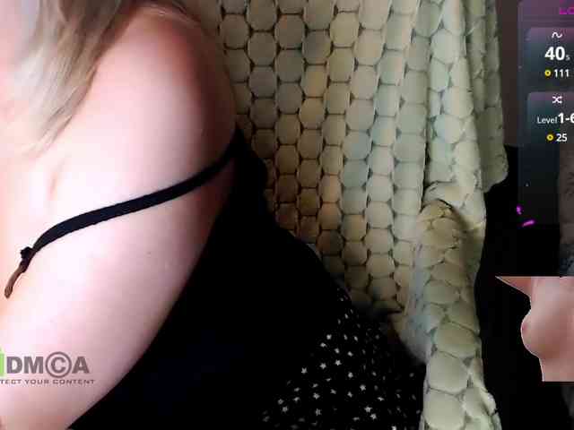 Persiks webcam