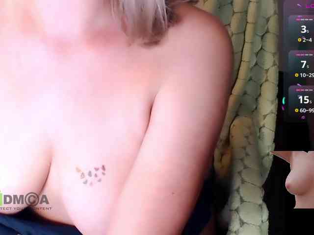 Persiks webcam