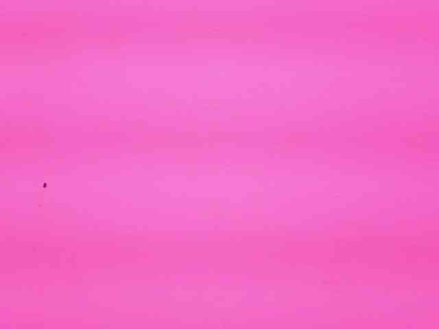 millyprint millyprint