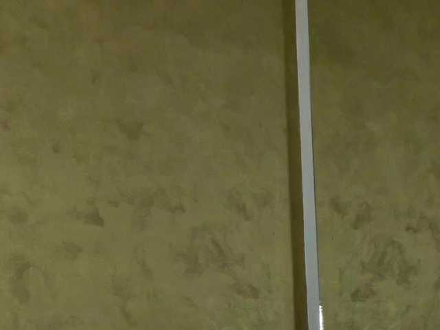 ell3's BongaCams show and profile