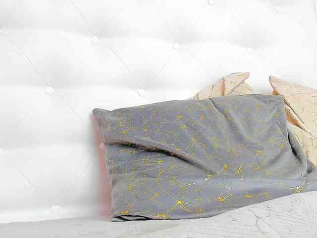 Karissia-X webcam