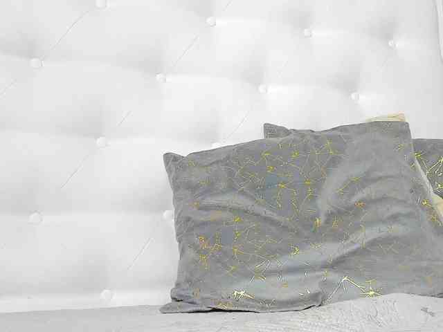 Karissia-X webcam